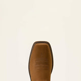 Ariat 10061285 Activator VentTEK Alamo Brown and Stone Grey - toe from above